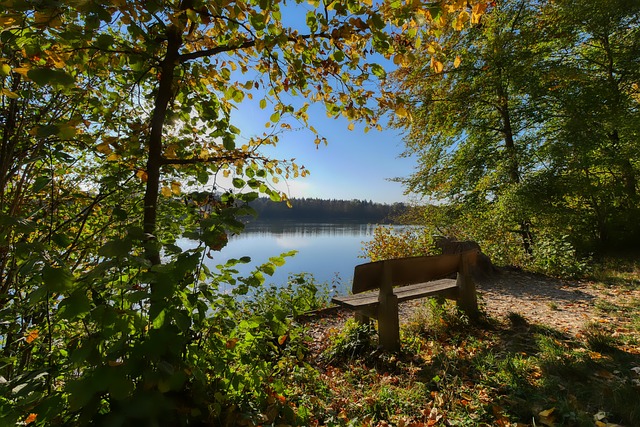 从冰雪盛会感悟和平发展之理(和音).